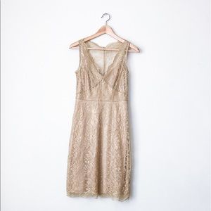 BCBG MaxAzria gold lace dress